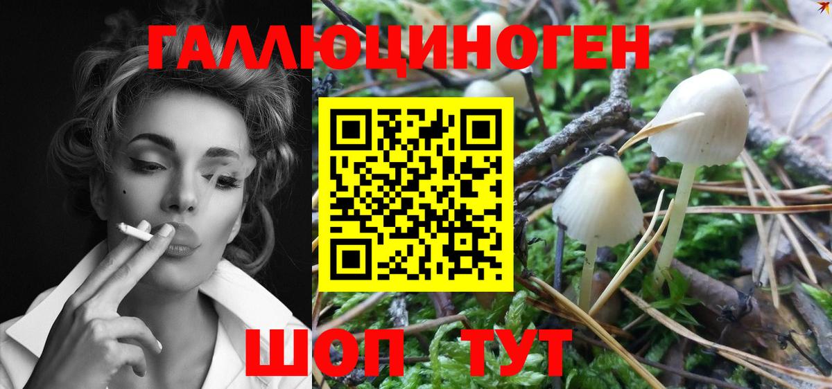 Тимашёвск  Псилоцибиновые грибы Cubensis  купить  сайты  Галлюциногенные грибы MAGIC MUSHROOMS  Вход с VPN 